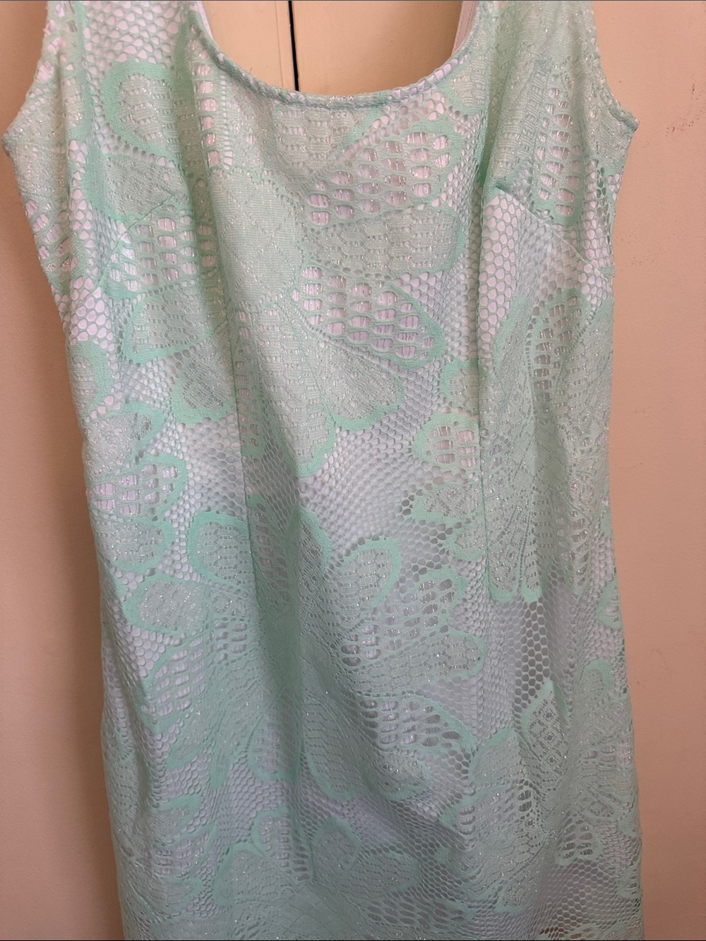 Lilly Pulitzer Mint Green Lace Sleeveless Mini Dress - Picture 8 of 9